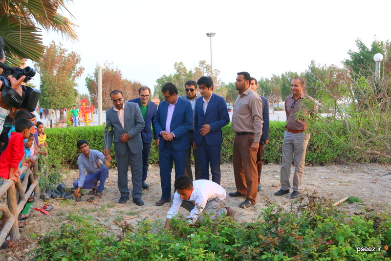 روز درختکاری در نخل تقی 11