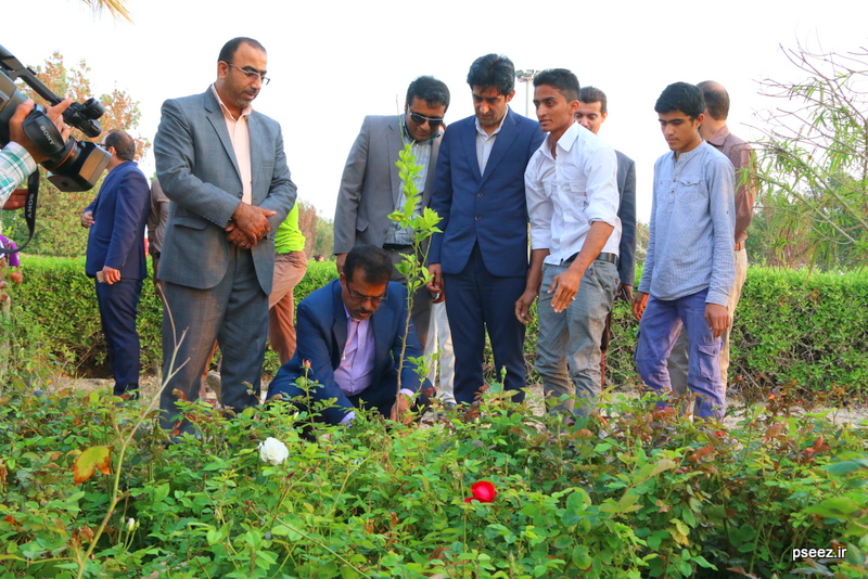 روز درختکاری در نخل تقی 12