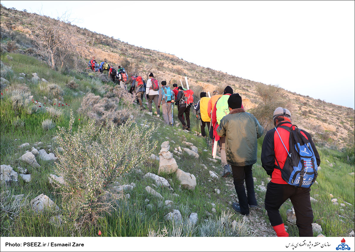 صعود کوهنوردان سازمان به قله بیرمی استان بوشهر 11