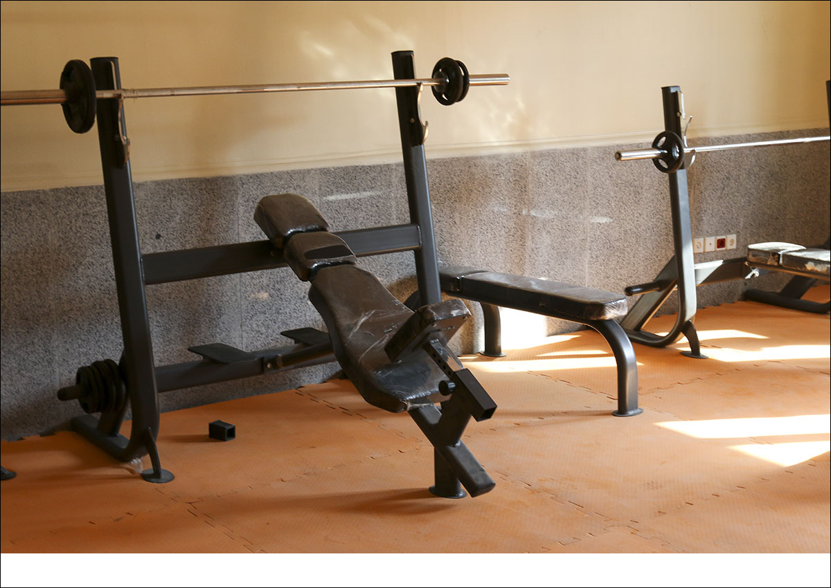 bodysmith by parabody calf machine bodysmith by parabody calf machine