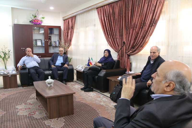 مدیر عامل سازمان 5