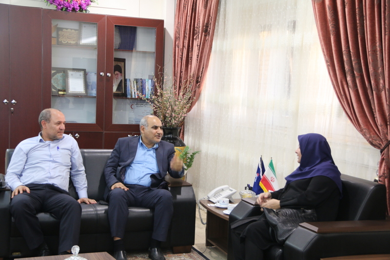 مدیر عامل سازمان 6