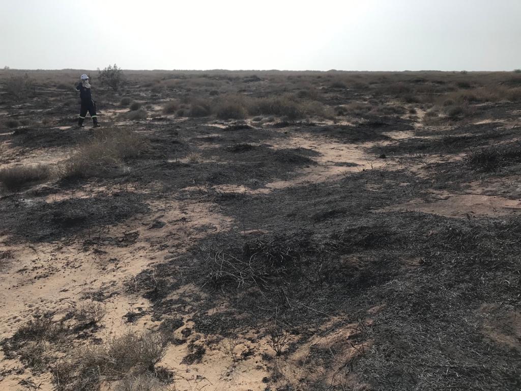 مهار آتش سوزی ساحل کبکان 7