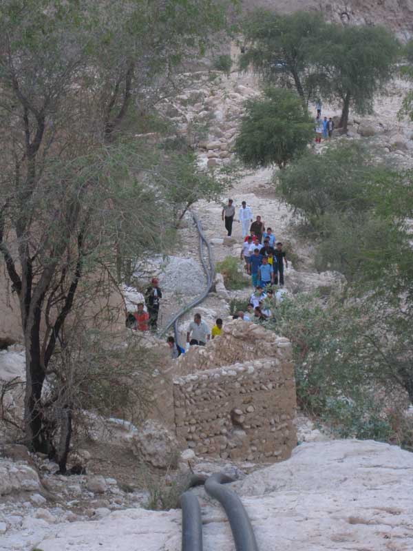 کوهپیمایی