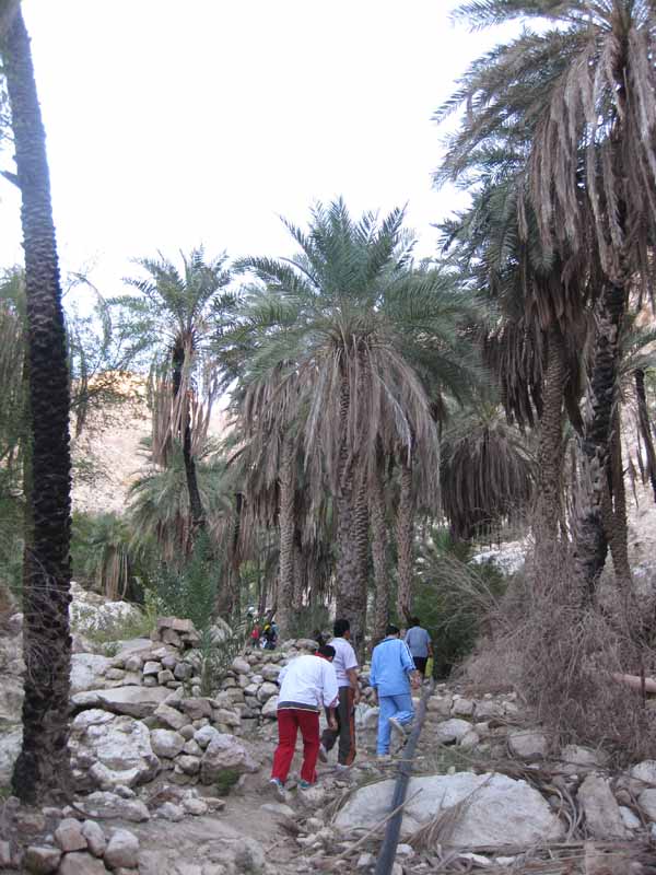 کوهپیمایی