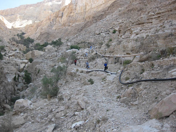 کوهپیمایی