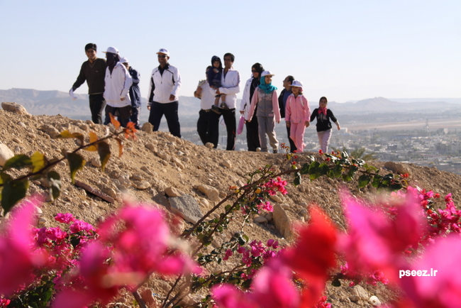 همایش پیاده روی