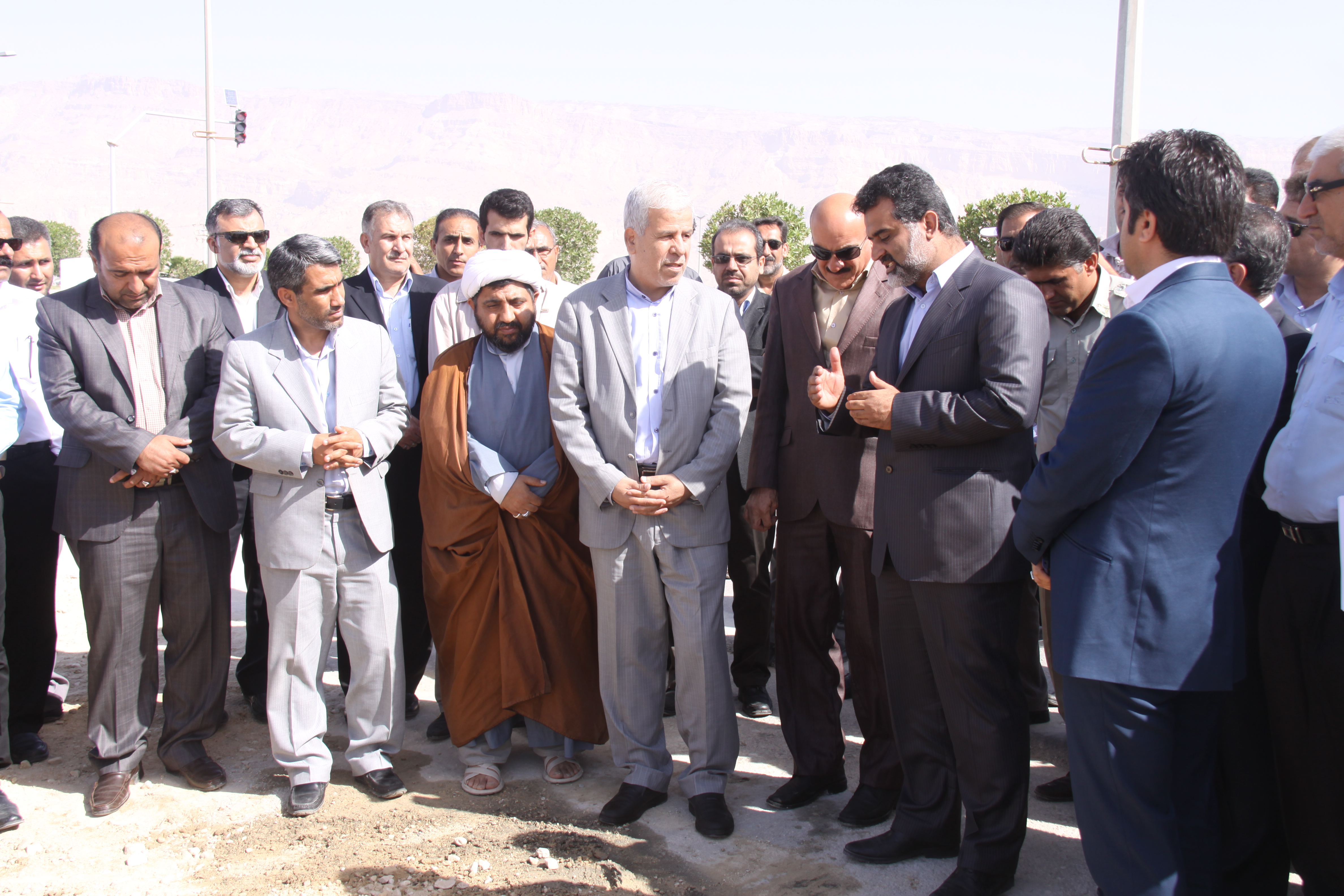 درختکاری