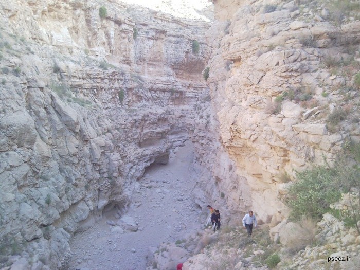 کوهپیمایی
