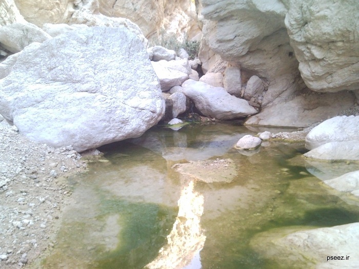 کوهپیمایی