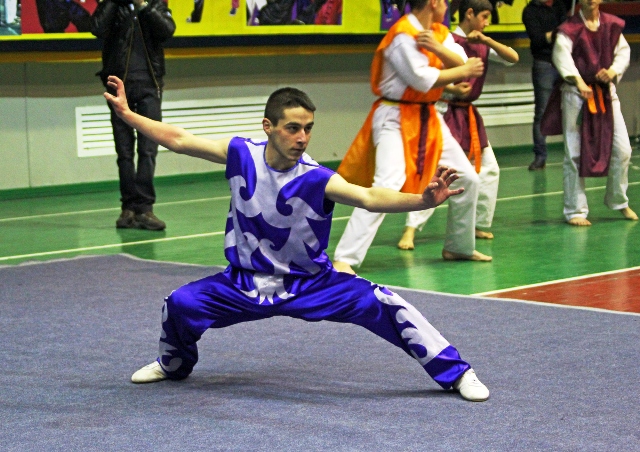 ووشو ارمنستان 5