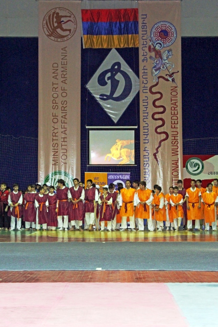 ووشو ارمنستان 9