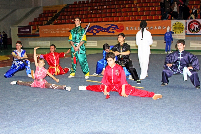 ووشو ارمنستان 10