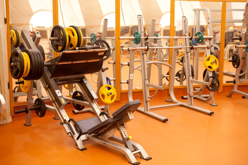 مجموعه  <strong class='sis-keyword'>ورزشی</strong> 11