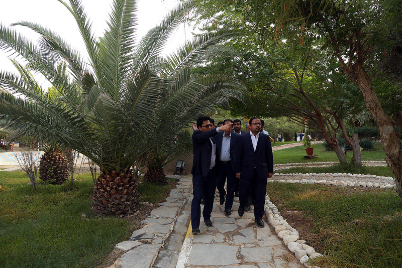 بازدید مدیر عامل از پروژه های مدیریت  <strong class='sis-keyword'>خدمات شهری</strong> 1