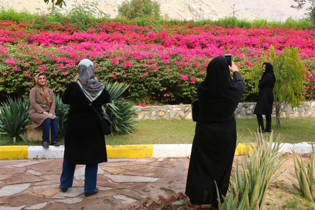 بازدید معلمان 3