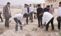 آیین نهال کاری در روستای چاه مبارک منطقه ویژه پارس