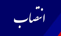 انتصاب سرپرست جدید مدیریت امور گمرکی سازمان منطقه ویژه پارس