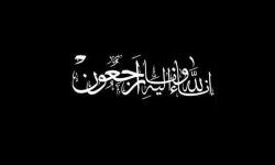 پیام تسلیت مدیر عامل منطقه ویژه در پی درگذشت حضرت آیت الله سید رضی علوی