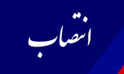 سرپرست روابط عمومی سازمان منطقه ویژه پارس منصوب شد