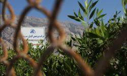 هماهنگی برای تامین خوراک پتروشیمی کاویان