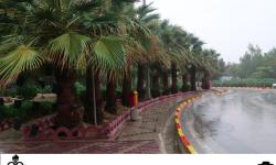 ترنم اولین بارش باران پاییزی در عسلویه