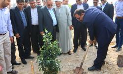گزارش تصویری/ کاشت نهال توسط مدیر عامل سازمان منطقه ویژه اقتصادی انرژی پارس