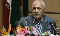 تلاش می کنیم گاز فاز ١٢ تا پایان سال وارد مدار شود