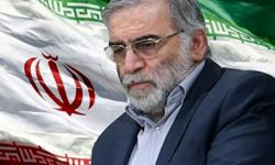 پیام تسلیت مدیر عامل سازمان منطقه ویژه به مناسبت شهادت دکتر فخری زاده
