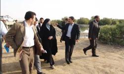 گزارش تصویری/ بازدید رئیس سازمان حفاظت محیط زیست از خلیج نایبند
