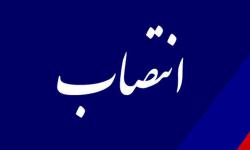 بازرس ویژه مدیر عامل سازمان منطقه ویژه پارس منصوب شد