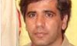 جشنواره نگین خلیج فارس در دو مرحله برگزار شود