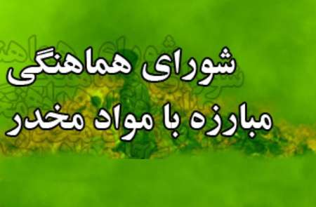 دومین نشست رابطین دستگاههای اجرایی جنوب استان دز شورای مبارزه با مواد مخدر منطقه ویژه پارس