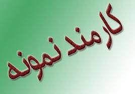 کارمندان نمونه سازمان منطقه ویژه پارس معرفی شدند