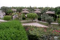 نهالستان منطقه ویژه پارس؛ تفرجگاهی در همسایگی فازهای 15و 16