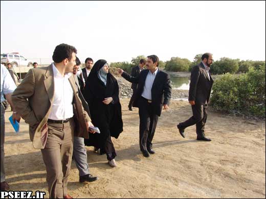 گزارش تصویری/ بازدید رئیس سازمان حفاظت محیط زیست از خلیج نایبند