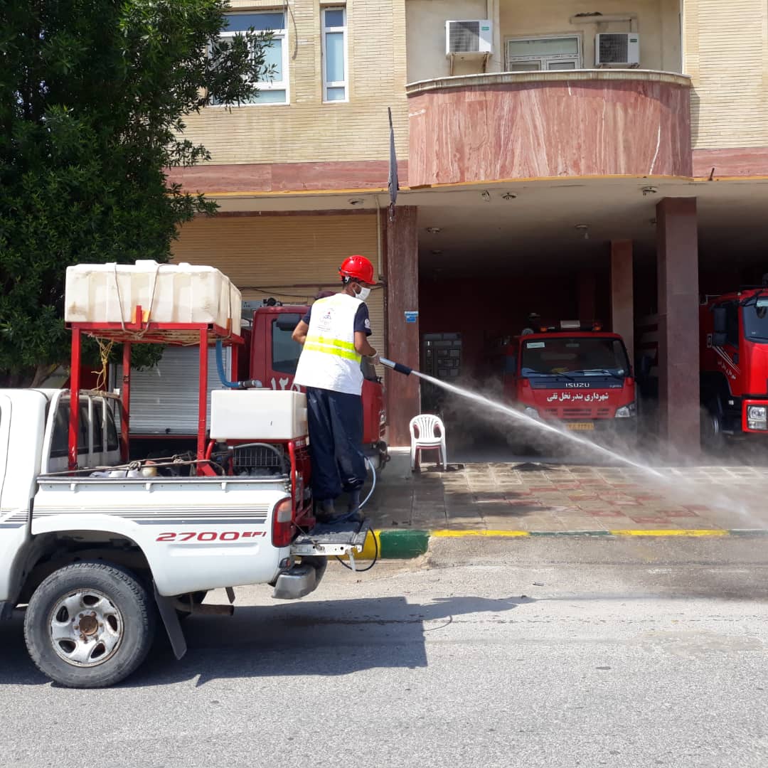 ضدعفونی نخل تقی 10