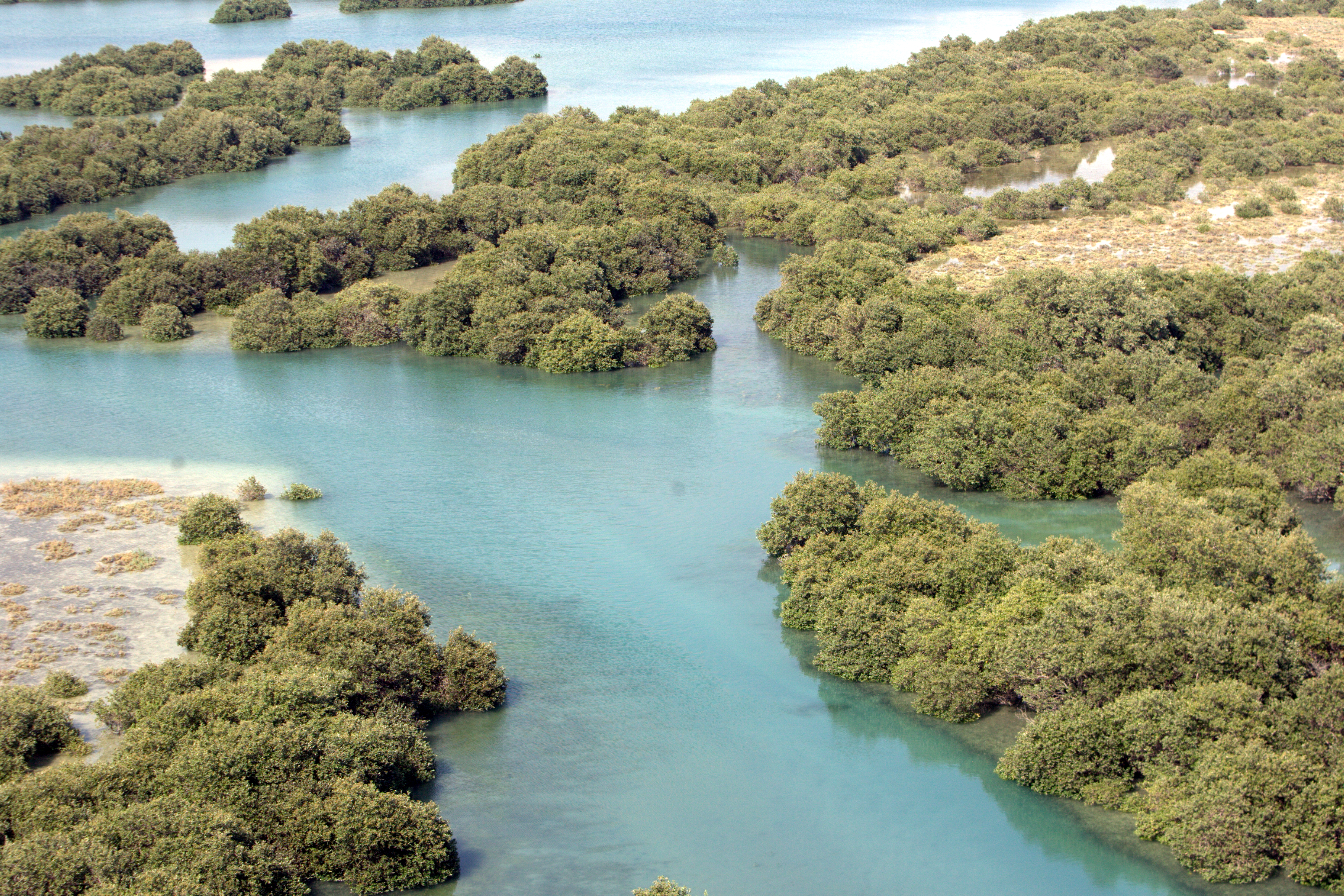 عکس منطقه 11