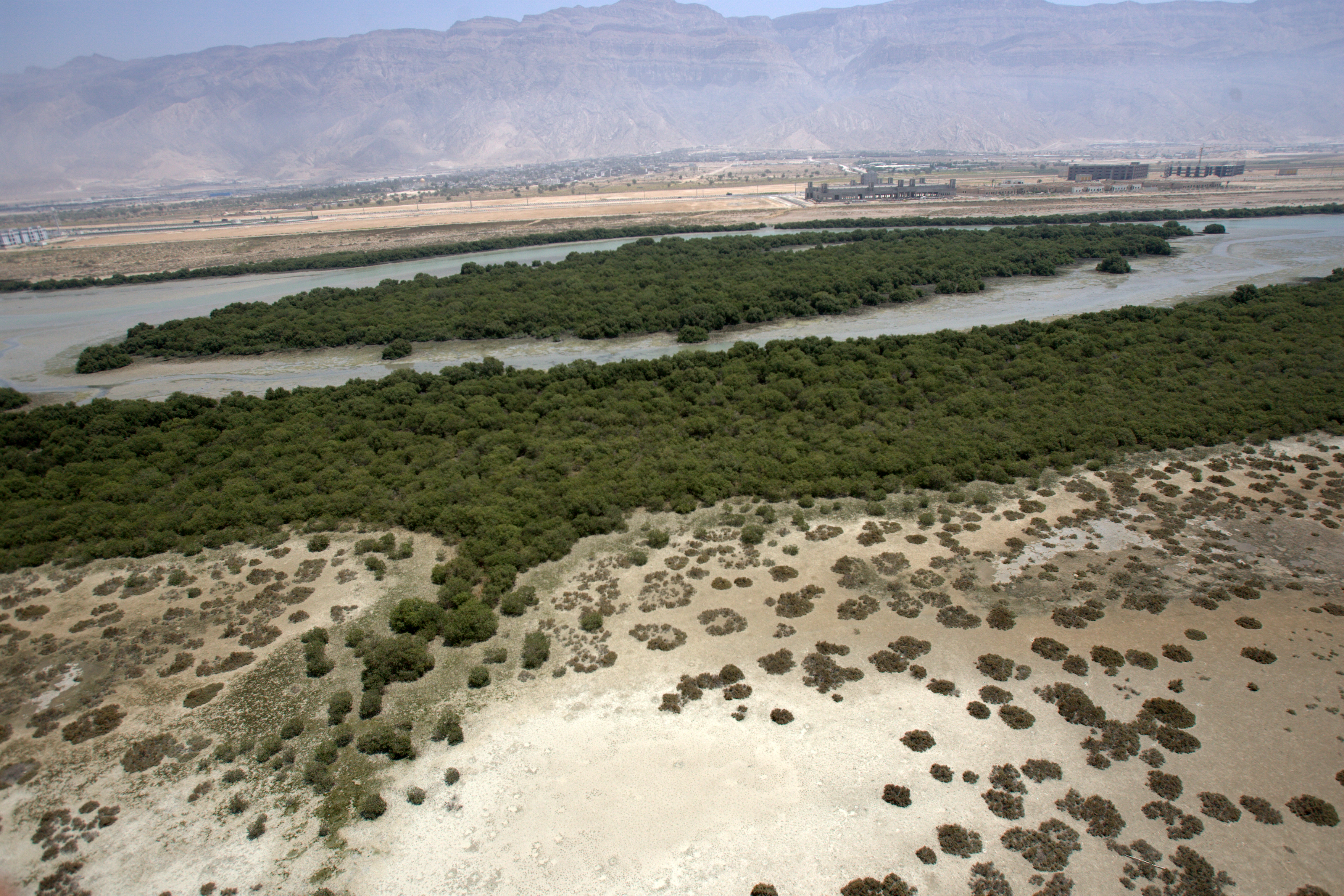 عکس منطقه 14