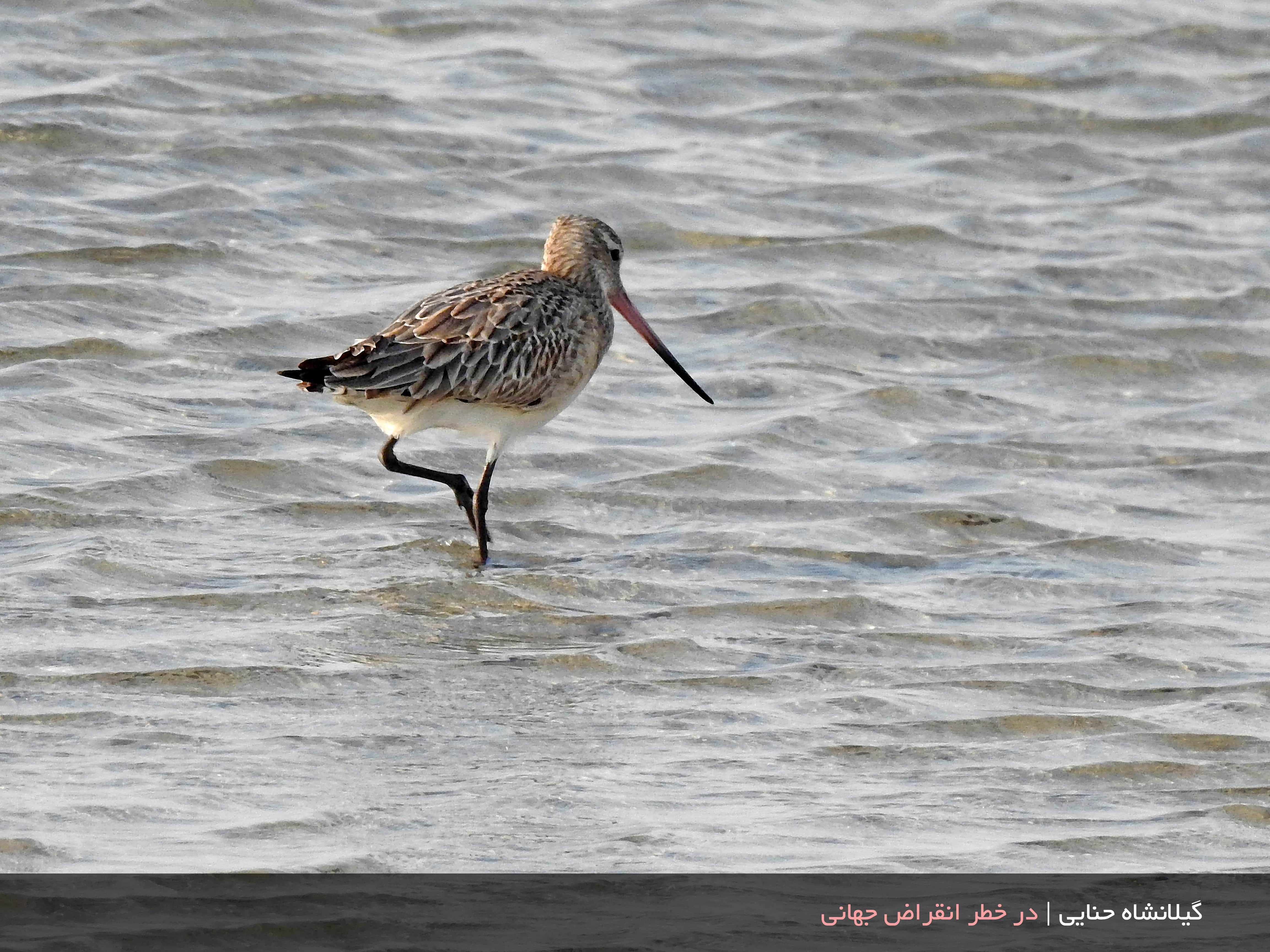 کارگاه آموزش عکاسی در طبیعت 13