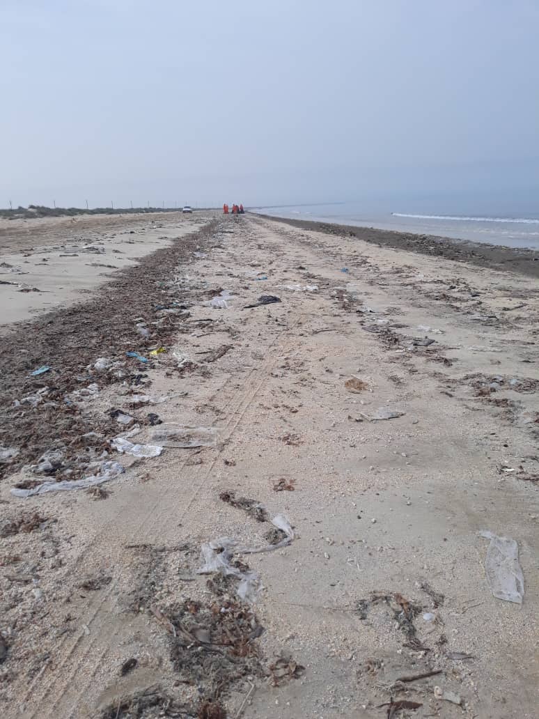 پاکسازی سواحل نایبند 3