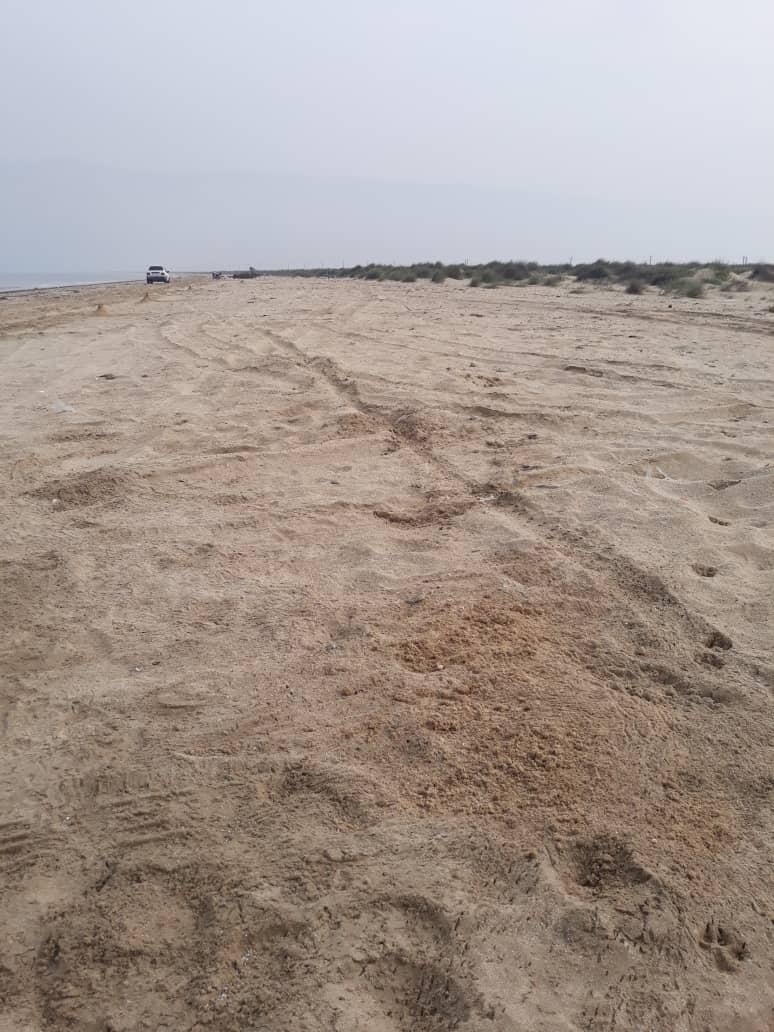 پاکسازی سواحل نایبند 5