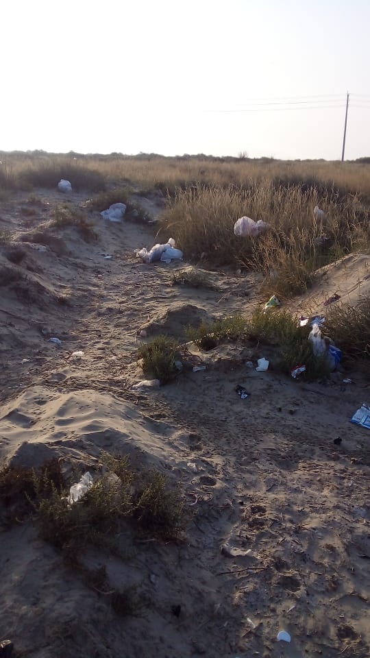 پاکسازی سواحل نایبند 9