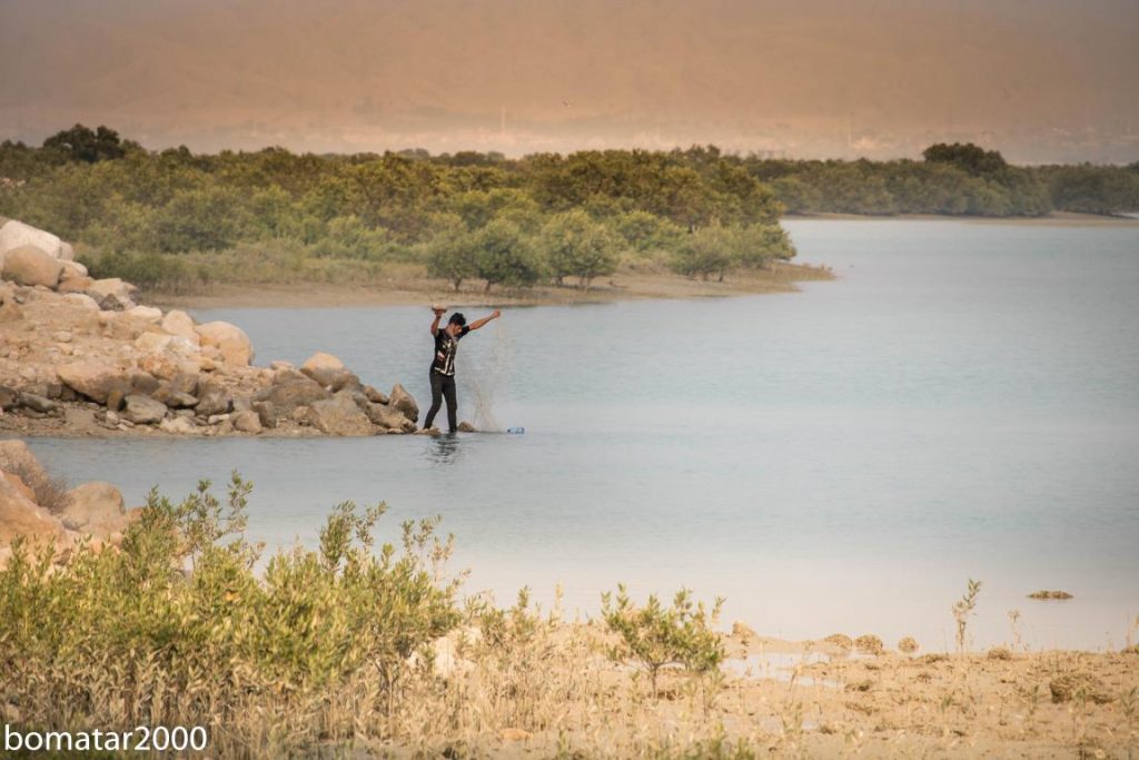 زیباییهای جنگل حرا عسلویه 10