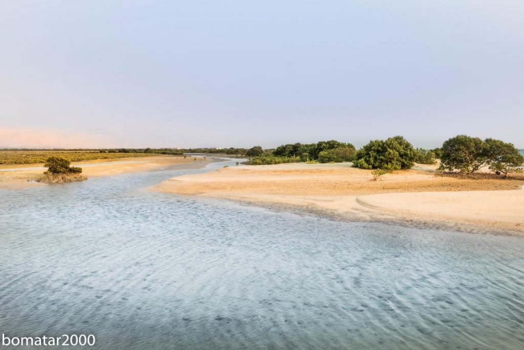 زیباییهای جنگل حرا عسلویه 13