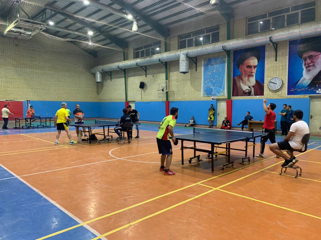 تنیس روی میز 12