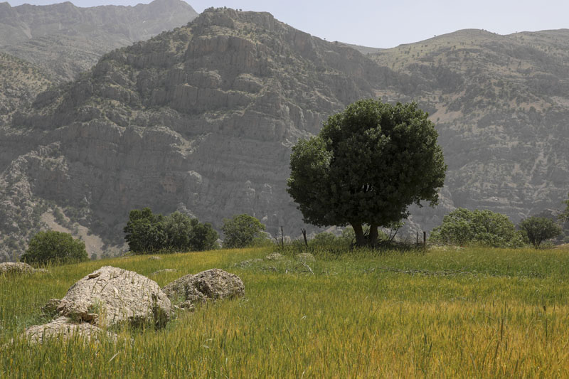 پیمایش مسیر آبشار زرد لیمه در کوهرنگ  9