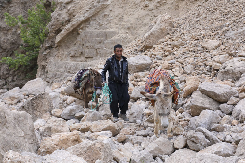 پیمایش مسیر آبشار زرد لیمه در کوهرنگ  26