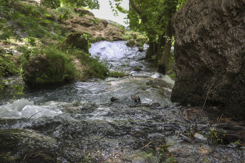 پیمایش مسیر آبشار زرد لیمه در کوهرنگ  41