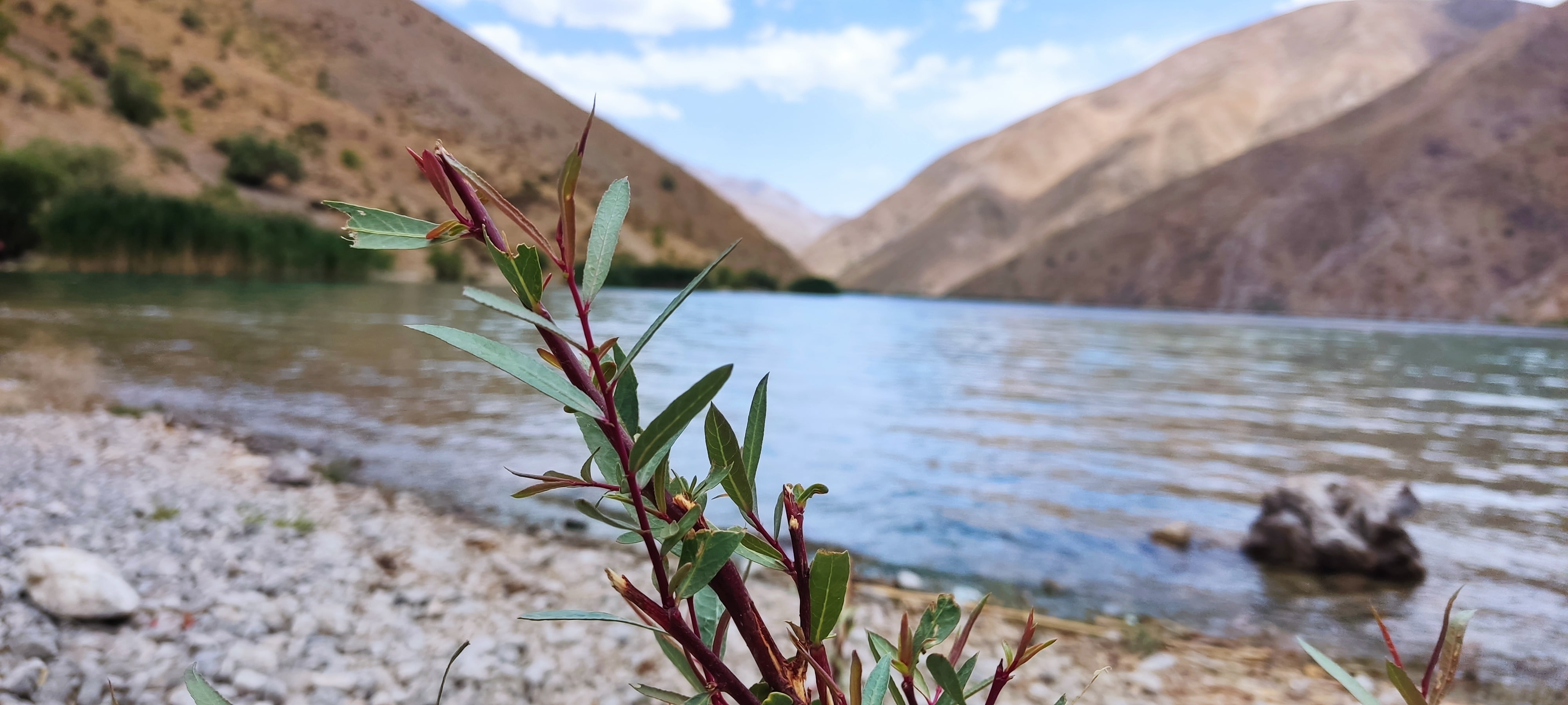 صعود به گهر 1